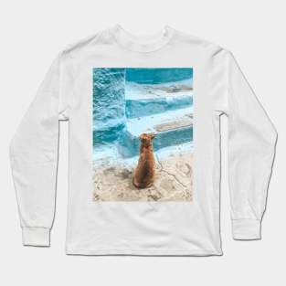 Orange Cat Long Sleeve T-Shirt